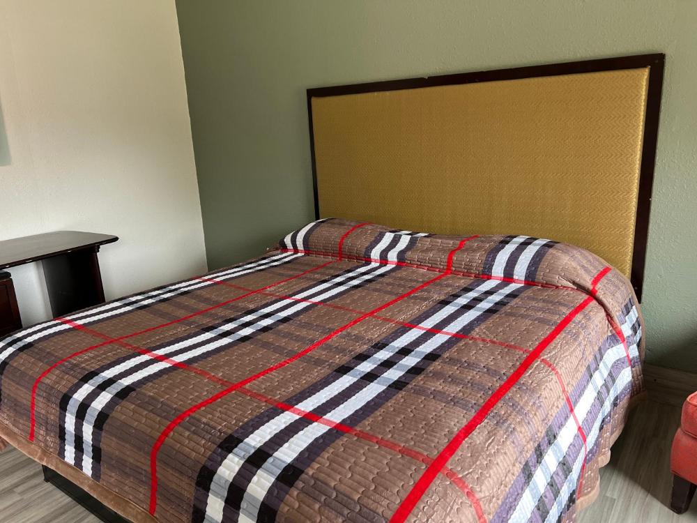 Large Single Room interior